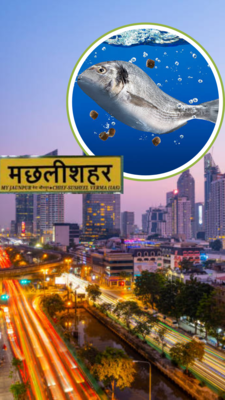 न मछली न कोई बड़ा शहर तो कैसे पड़ा मछली शहर का नाम
