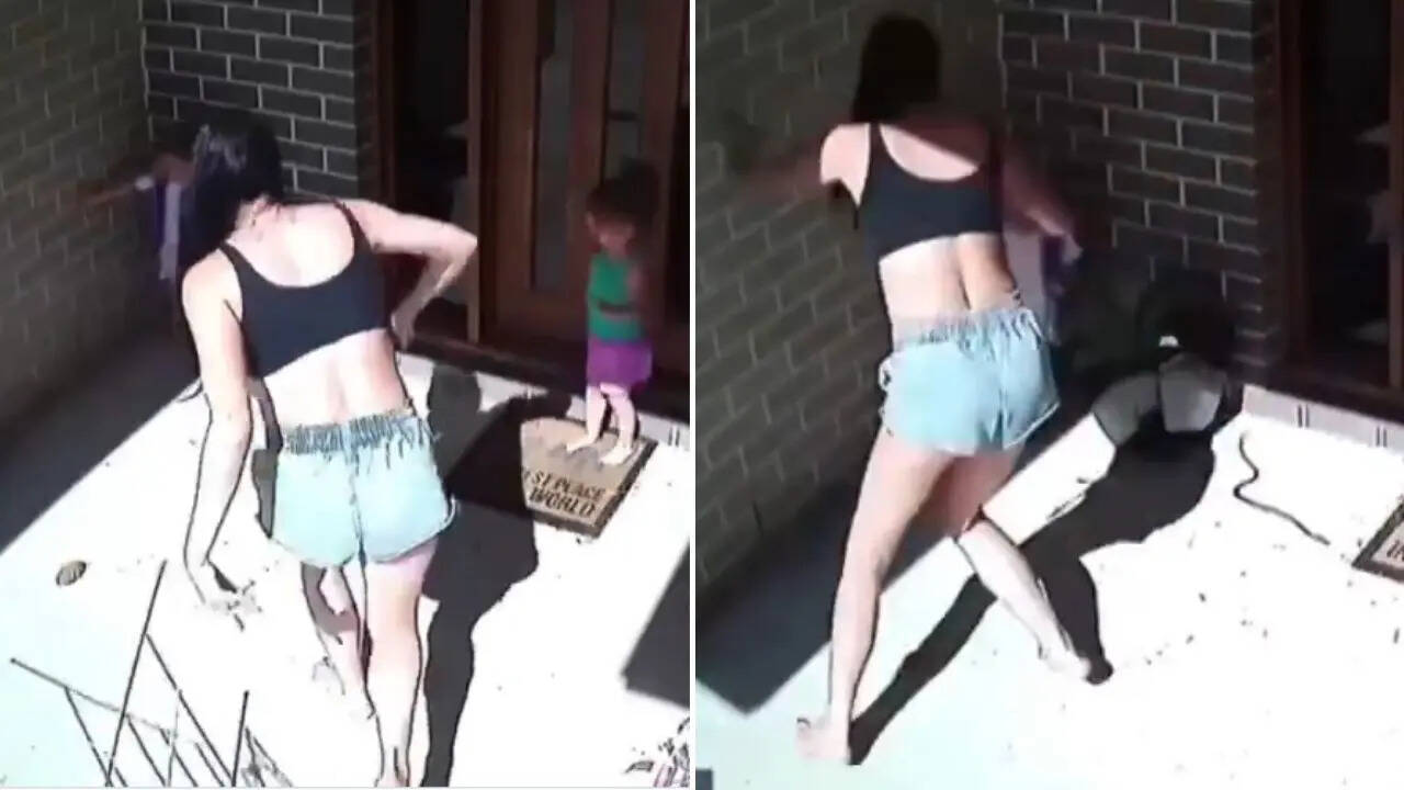Snake Attack