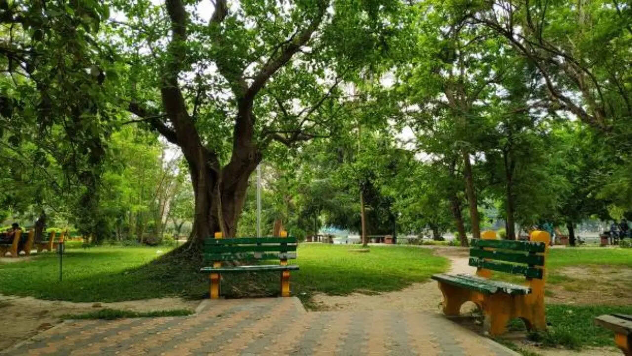 दिल्ली के लोगों के पास समय बिताने के लिए होंगी 6 और जगहें, यमुना किनारे बनेंगे शानदार पार्क और कैफे