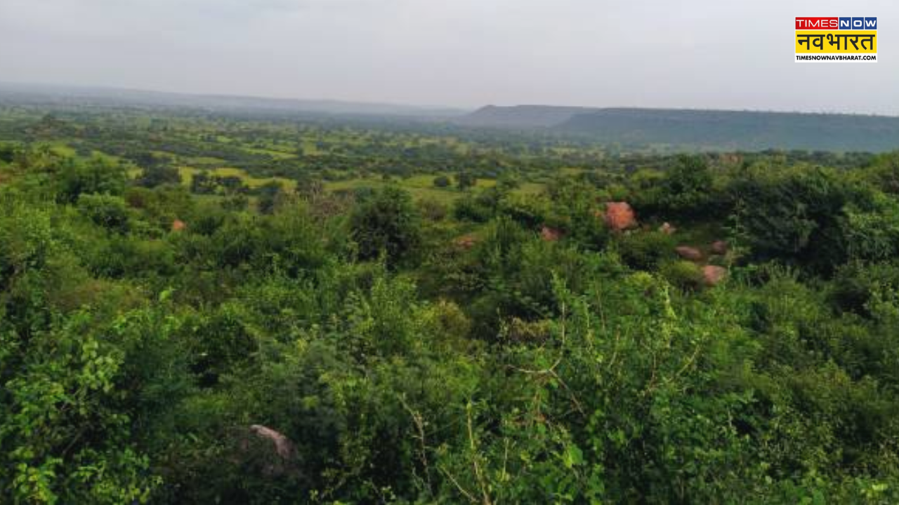 encroached in forest area