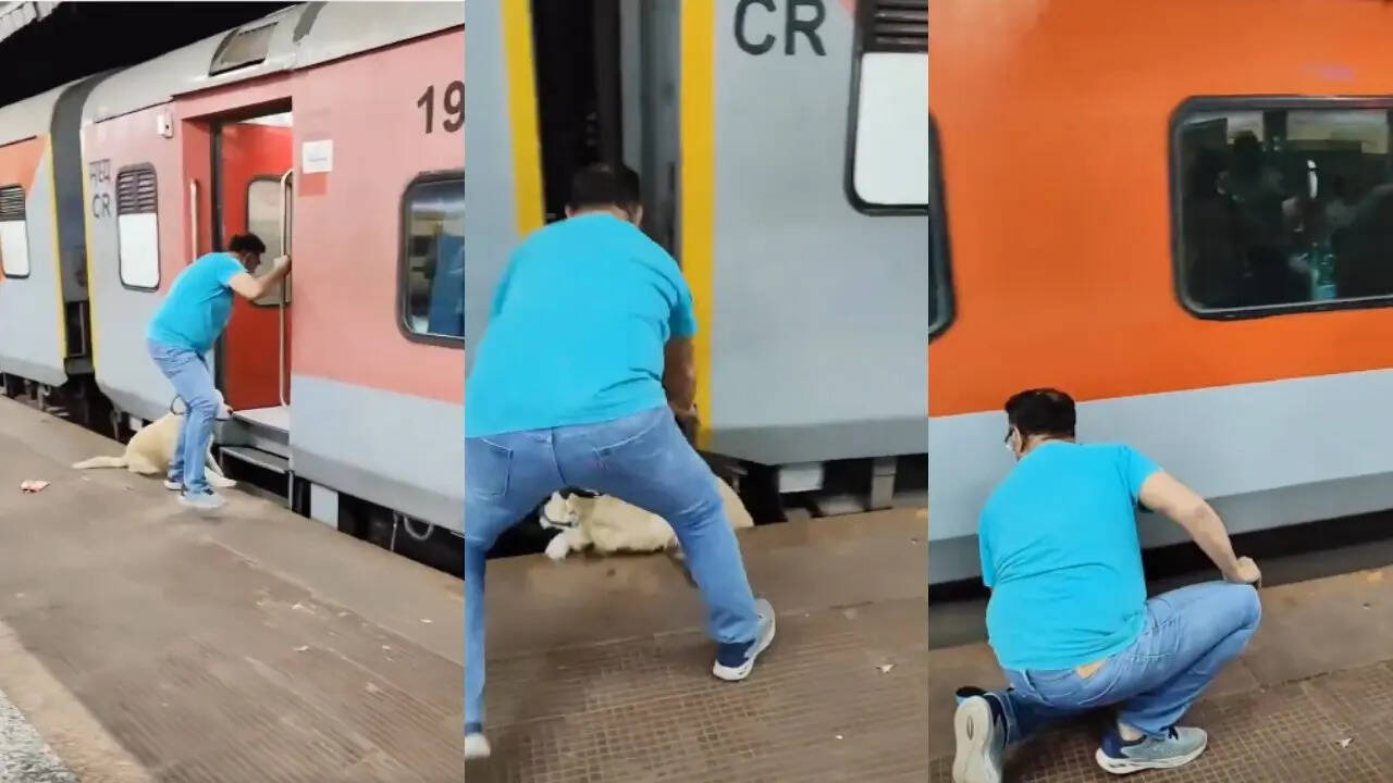 Viral Video Today