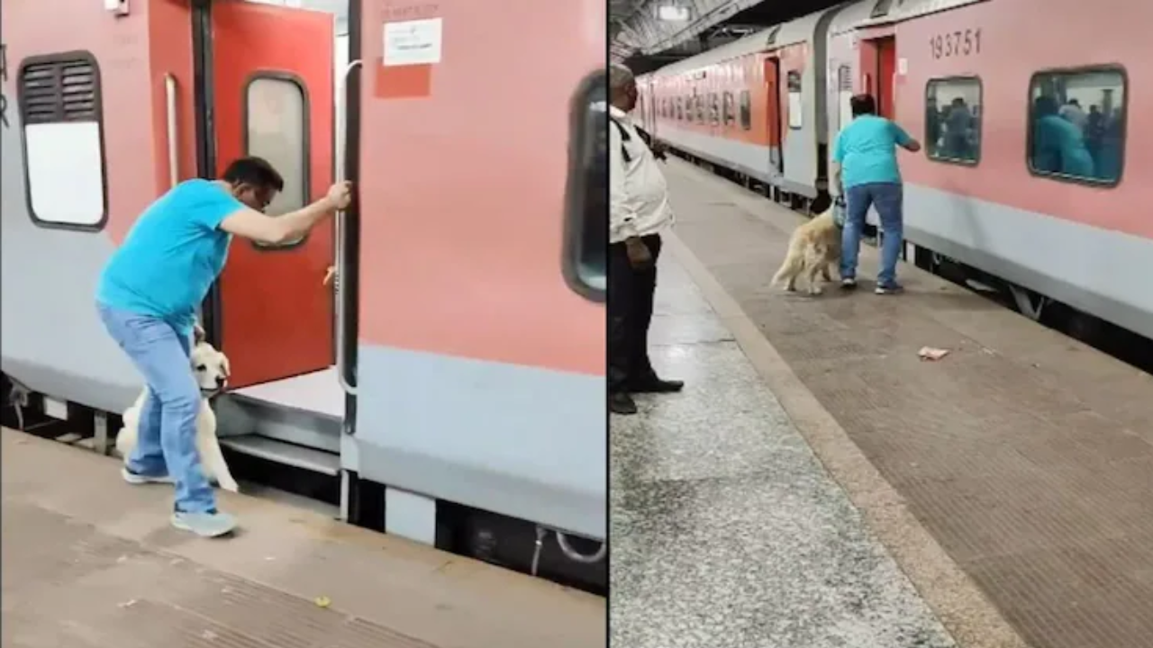 ट्रेन में चढ़ने की कोशिश करता डॉग और उसका मालिक।