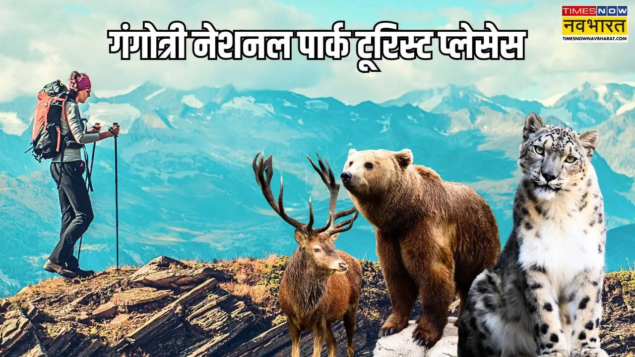 Gangotri National Park Tourist Places
