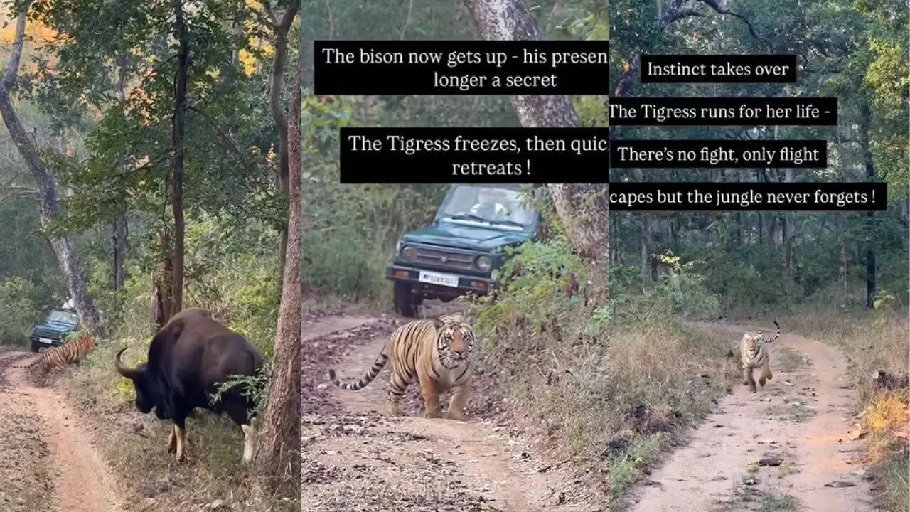 Satpura Tiger Reserve