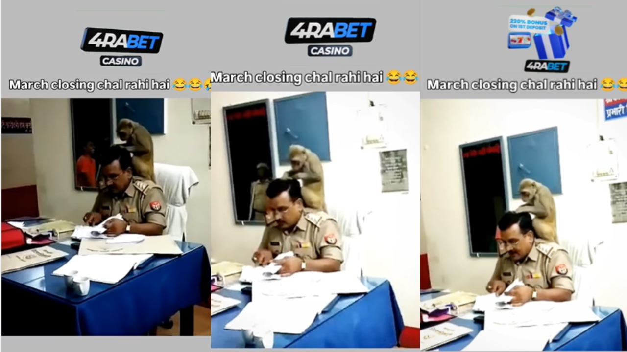 monkey viral video
