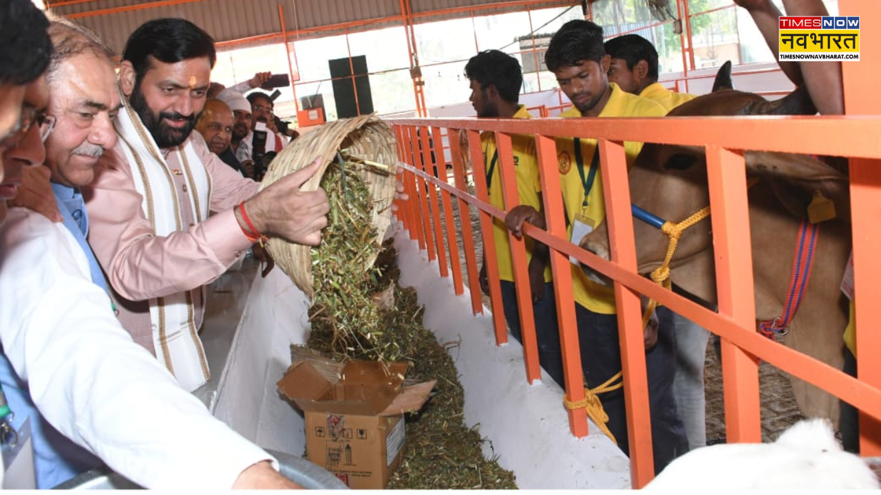 Harayana cow shelters Budget