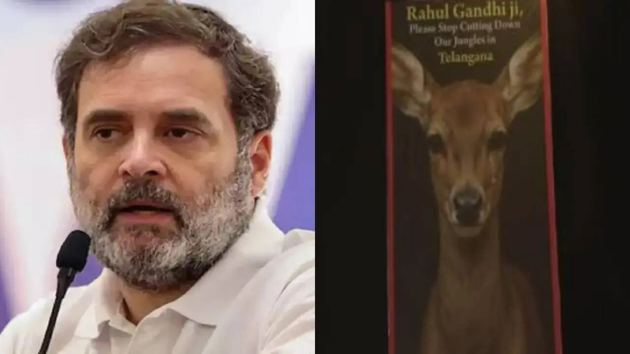 Rahul Gandhi