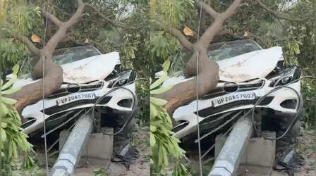 नोएडा में तेज रफ्तार का कहर, बिजली के खंभे से टकराई लग्जरी कार, एक घायल
