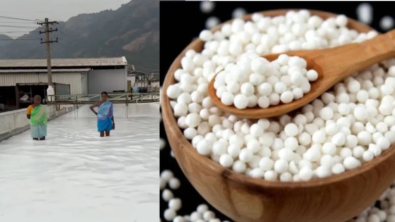 Sabudana