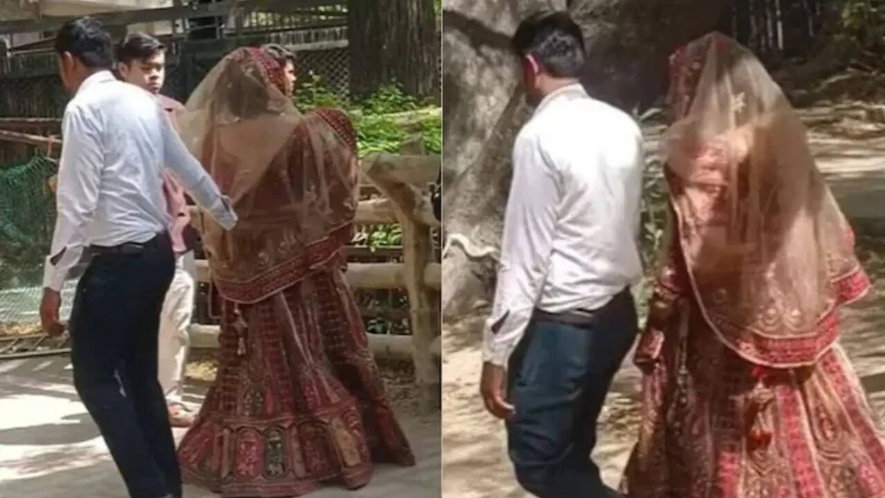 wearing lehenga in zoo