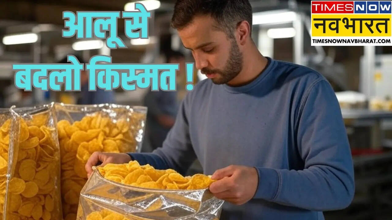 Aloo Chips Business Idea