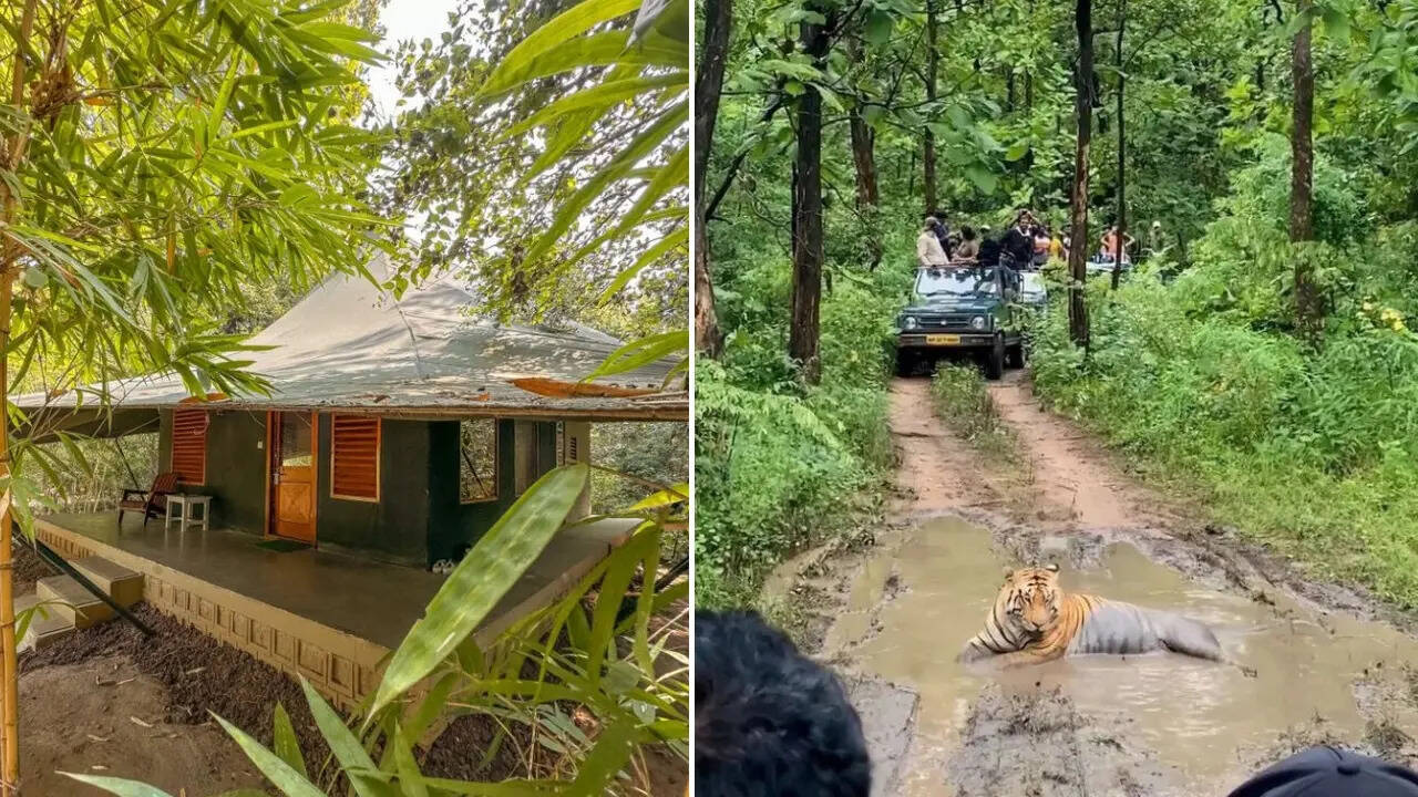 Pench National Park