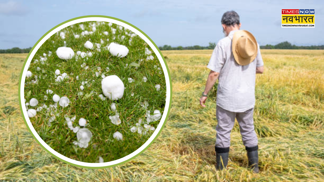 Heavy hailstorm in Uttar Praedesh