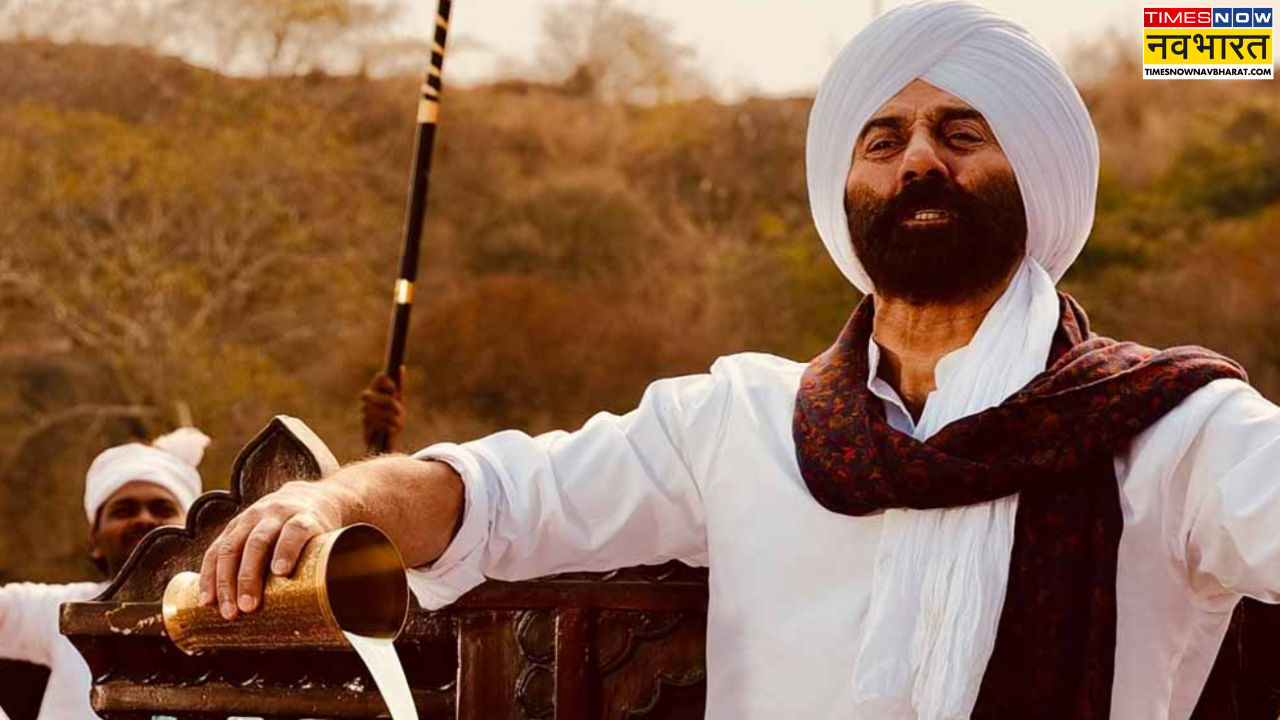 Sunny Deol Jaat Box Office Record