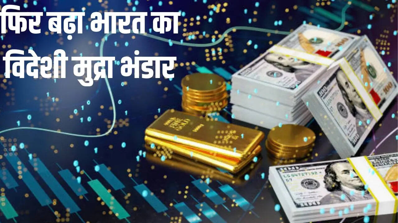 Foreign Exchange Reserves of India
