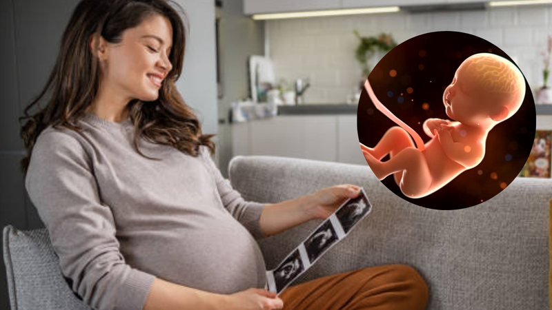 IVF treatment with Artificial Intelligence