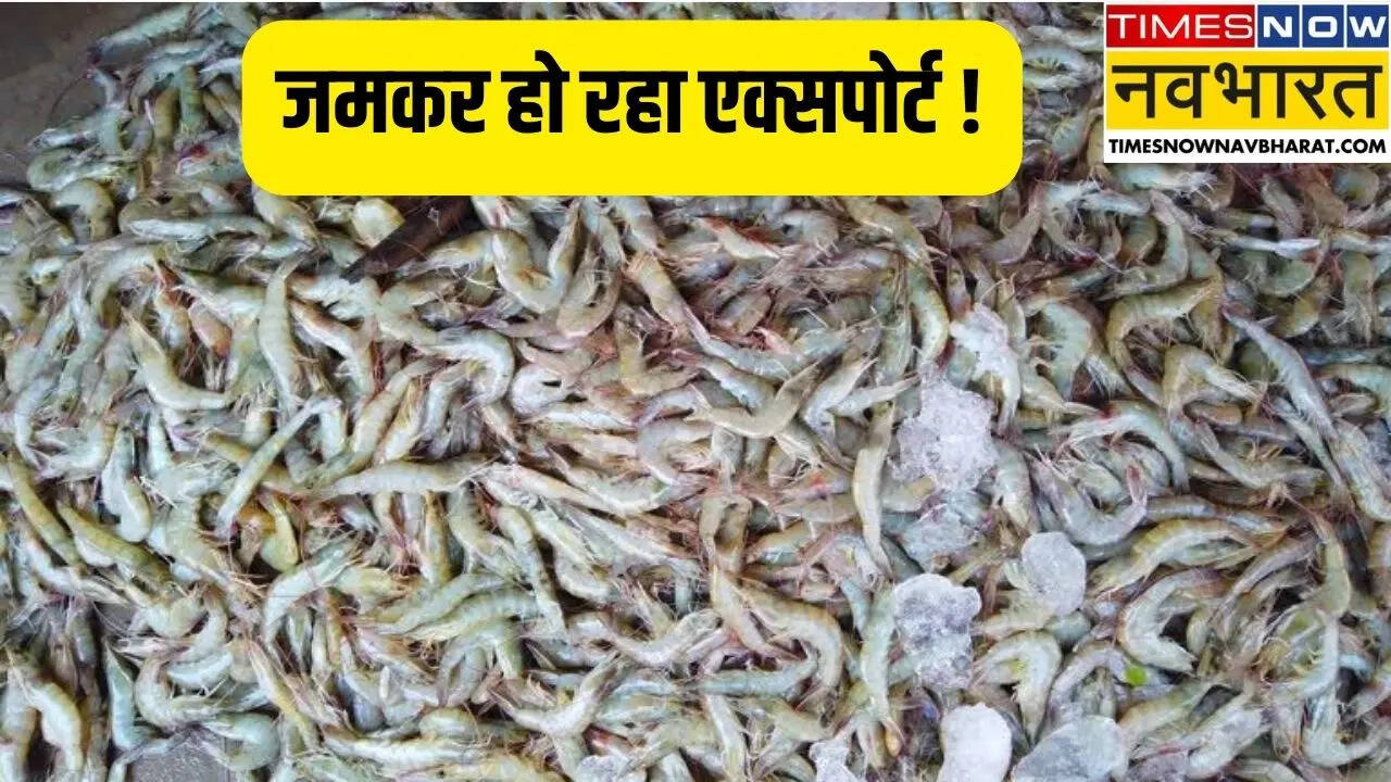 Sea Food Export