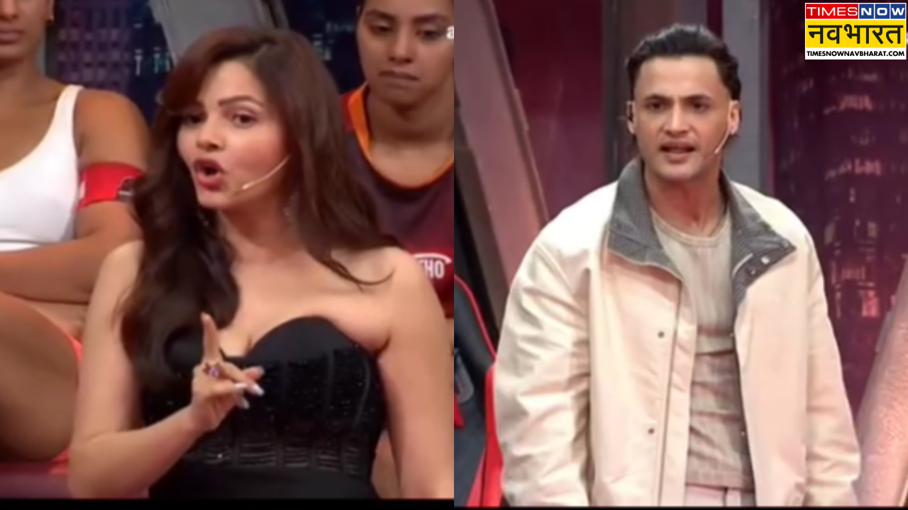 Rubina Dilaik Asim Riaz Fight