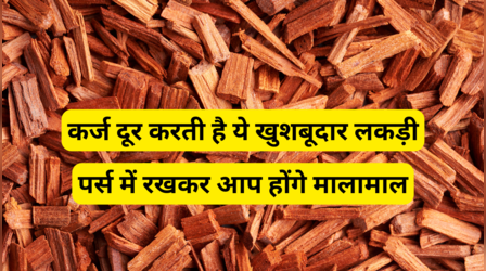 पर्स में रख लें ये खुशबूदार लकड़ी, करती है पारस पत्‍थर जैसा काम, दूर होगी सारी कर्जदारी