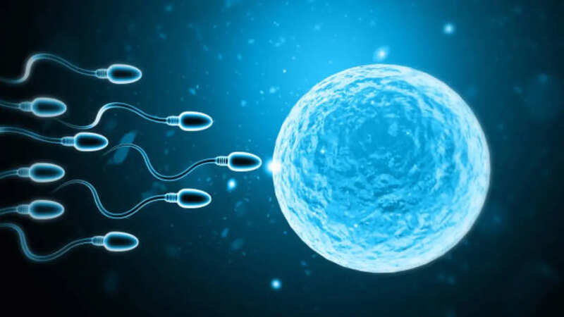 World first sperm race (image-istock)