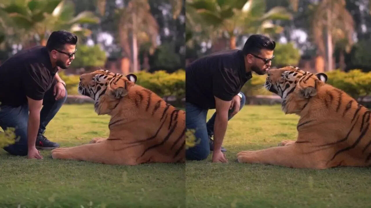 Pakistani Man Kisses Tiger