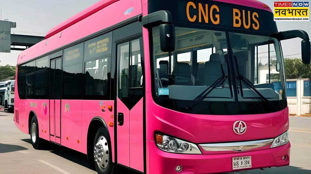pink bus service in bihar