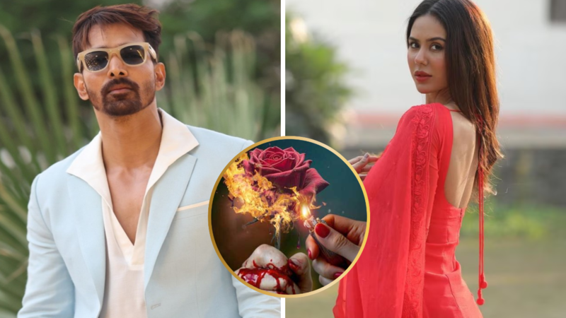 Harshvardhan Rane-Sonam Bajwa's Deewaniyat