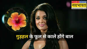 Hibiscus for Hair Colour गुड़हल के फूल से बाल काले कैसे करें जितना आसान तरीका और उतने अधिक फायदे
