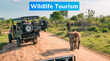 Wildlife Tourism जंगल सफारी का बढ़ रहा है क्रेज इन बातों का पर्यटकों को रखना चाहिए ध्यान