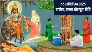Vat Savitri Date And Vidhi 2025 वट सावित्री व्रत कब है 2025 जानिए किसके लिए और कैसे रखा जाता है ये उपवास