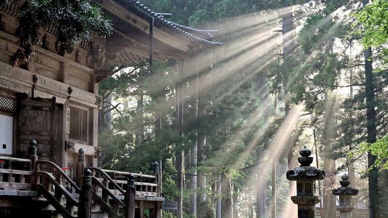 Nautapa Sun rays