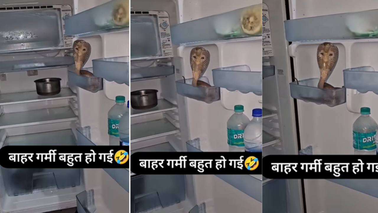 saanp ka video