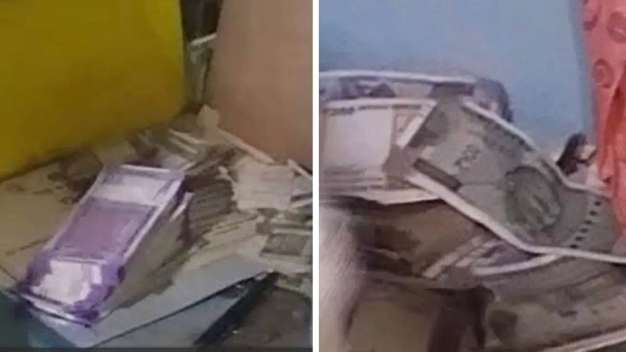 Dambru house and Money