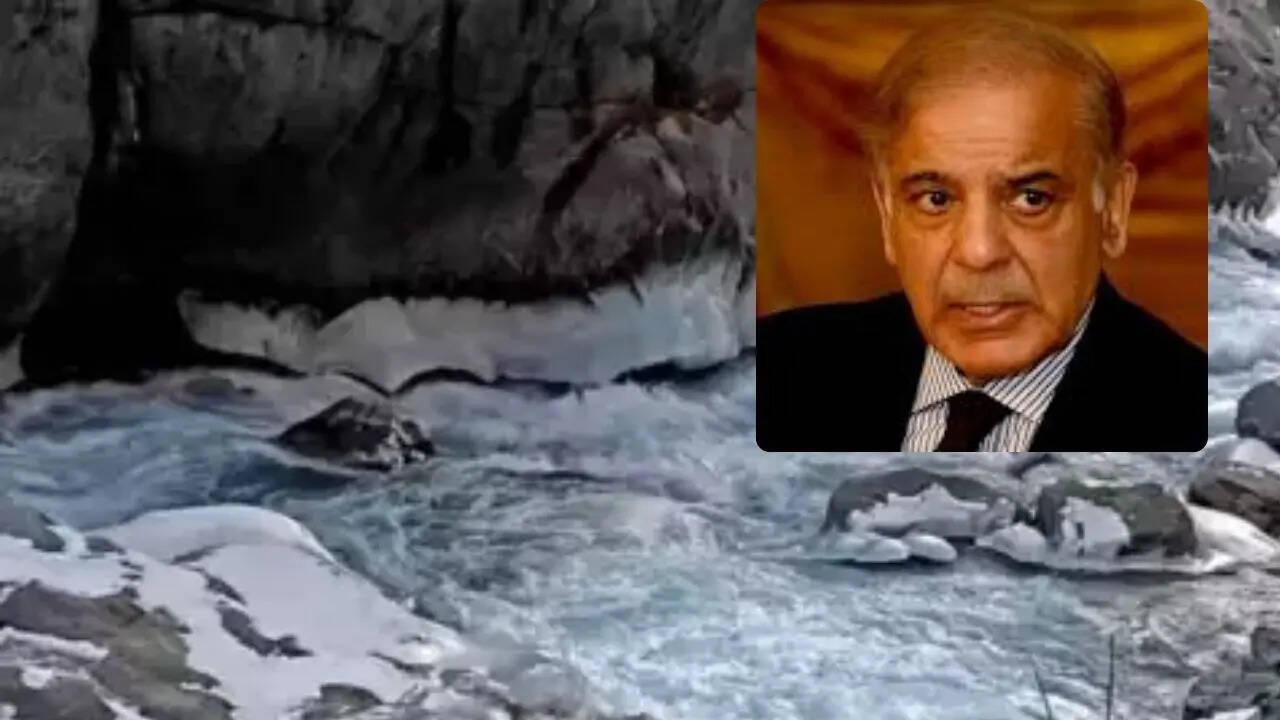 Indus Waters Treaty suspend