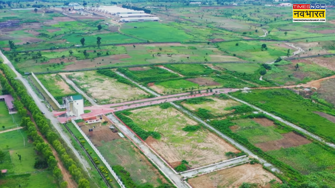 Los agricultores en los agricultores obtienen parcela NTL