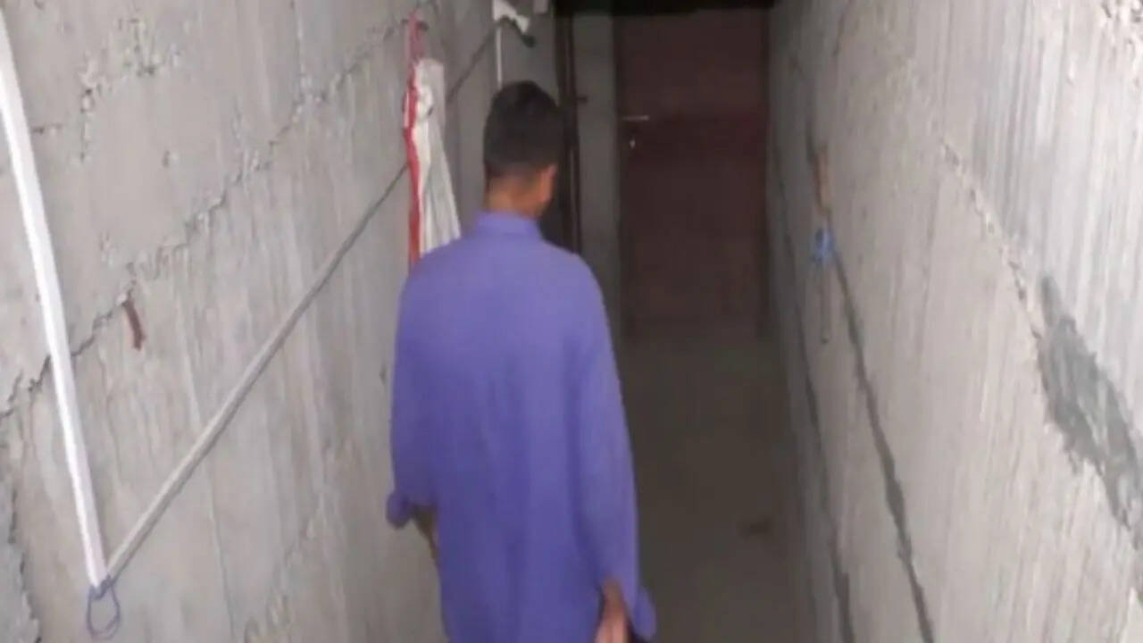Border Bunkers