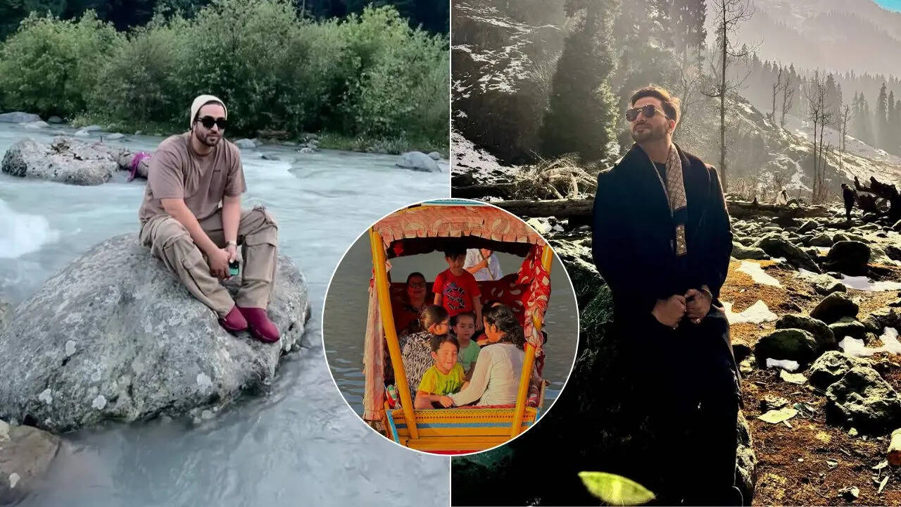 अली गोनी ने कश्मीर पर शेयर की पोस्ट