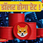 Shiba Inu Price Prediction साल 2030 तक कितना पहुंच सकता है Shiba Inu का रेट संभाल कर रखा तो बनेंगे मालामाल