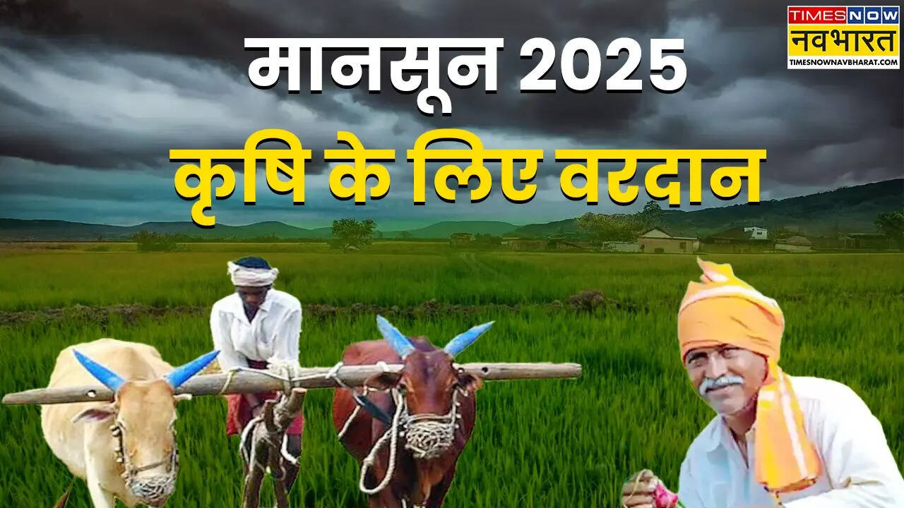 Referencia Rrain 2025.