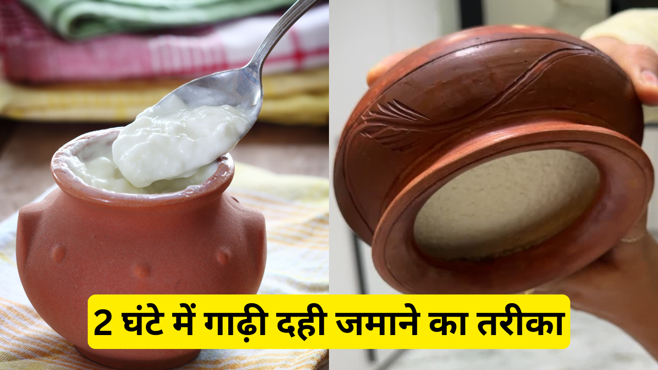 How to make thick yogurt at home in Hindi