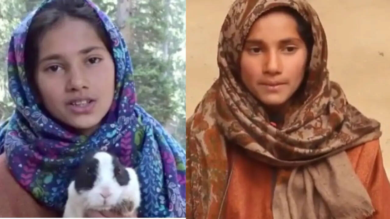 Rabbit girl Rubina saves tourists