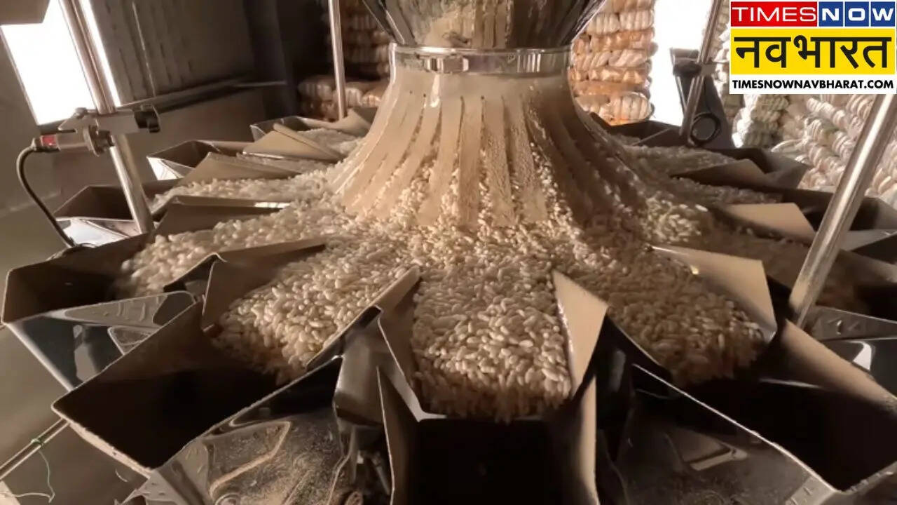 Arroz con arroz genético