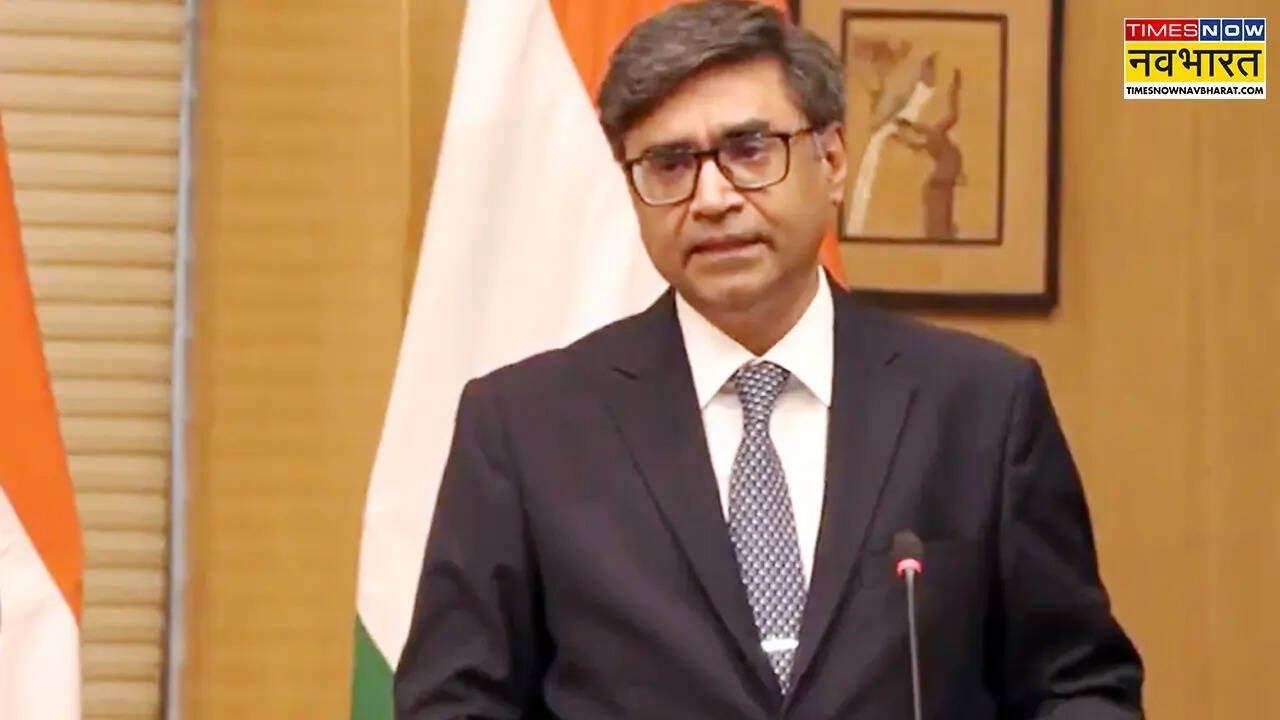 Ministro de Relaciones Exteriores Vikram Egipto