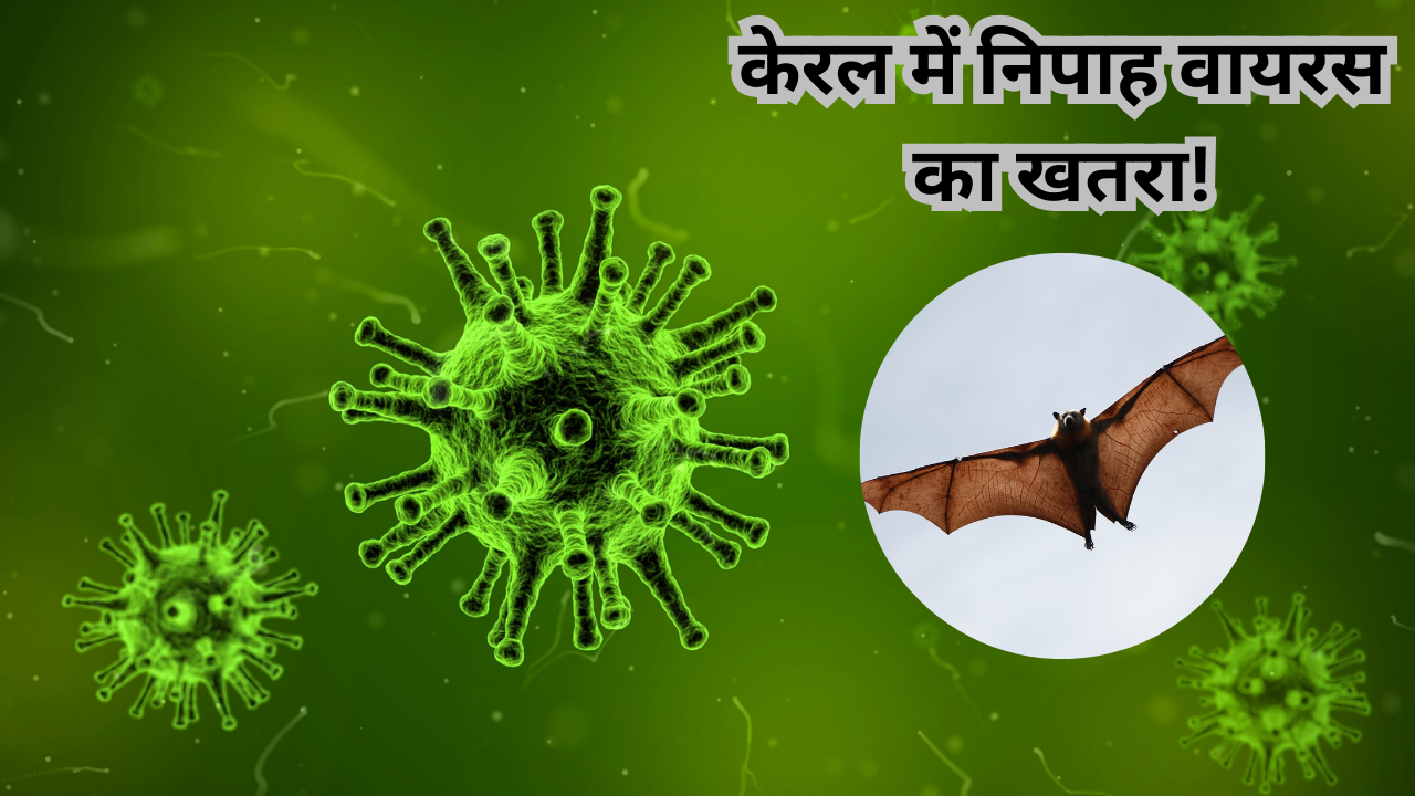 Niba virus in Kerala