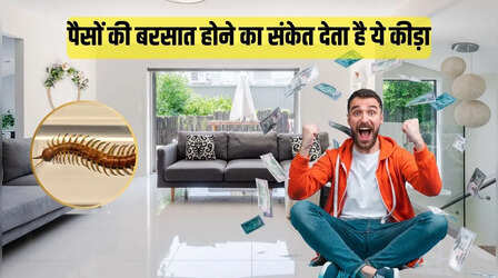 घर में अचानक से दिख जाए ये कीड़ा तो समझ लें खुलने वाली है आपकी किस्मत, धन आने का देता है संकेत