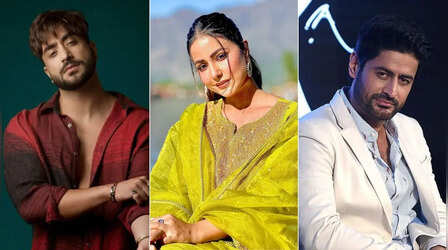 जम्मू और कश्मीर की खूबसूरत वादियों में जन्मे ये TV स्टार्स, फेम मिलने के बाद भी नहीं छूटा मातृभूमि का मोह