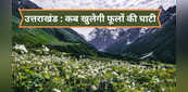 उत्तराखंड: फूलों की घाटी 2025 में कब से खुलेगी, UNESCO  हेरिटेज साइट का पूरा ट्रैकिंग रूट, फीस, ठहरने की जानकारी