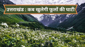 उत्तराखंड फूलों की घाटी 2025 में कब से खुलेगी UNESCO हेरिटेज साइट का पूरा ट्रैकिंग रूट फीस ठहरने की जानकारी