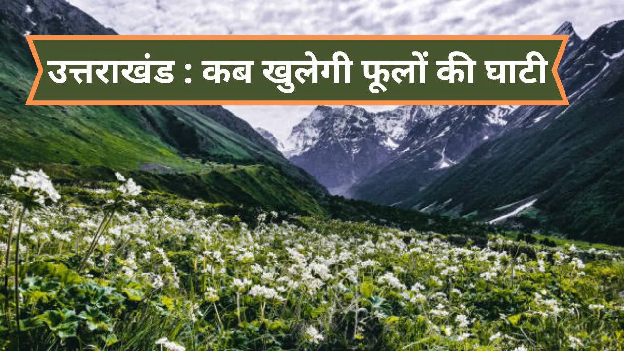 Valley Opening Dates of Flowers 2025, Valley of Flowers