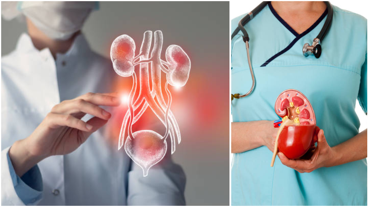 Bad habits For Kidneys In Hindi